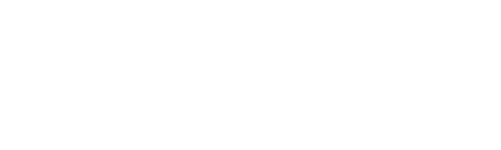 Spotify Logo white